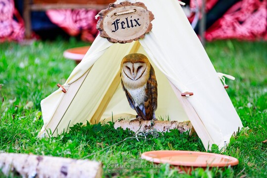 Impressionen - FM 2025