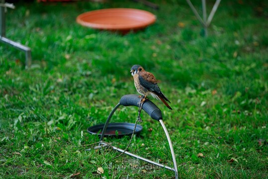 Impressionen - FM 2025