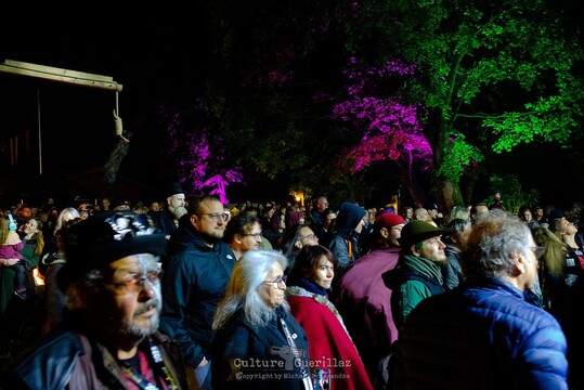 Circus of Fools - FM 2025 - Freitag