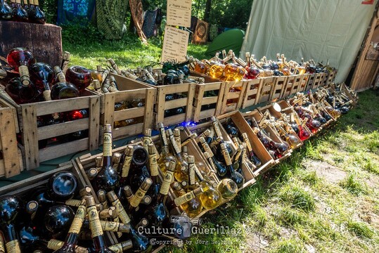 Impressionen - WGT 2026