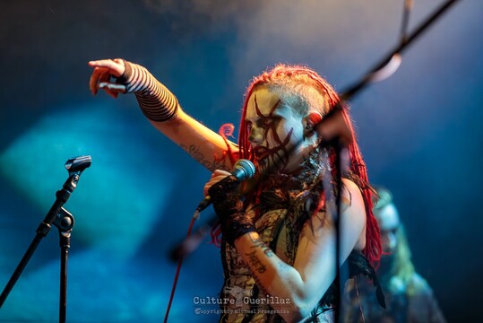 Circus of Fools - FM 2025 - Freitag