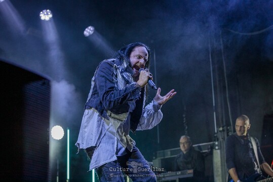 Goethes Erben - FM 2025 - Freitag