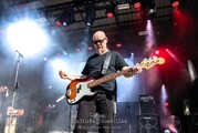 Golden Apes - NCN 2024 - Freitag