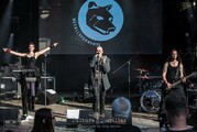 Metallspürhunde - NCN Special 2021 - Freitag