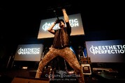 Aesthetic Perfection - E-Only 2025 - Festivaltag